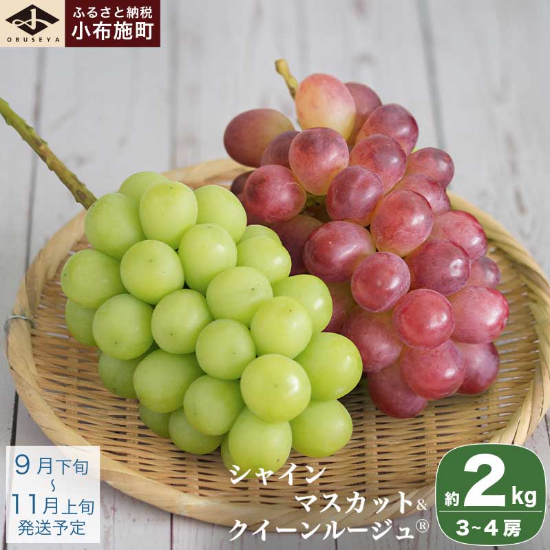 VC}XJbgNC[[W?  2kg 3`4[ mz{nԂǂ Hה t[c ʕ   uhE  N[ ① y 쌧Y MBY ߘa7NY y2025N9{