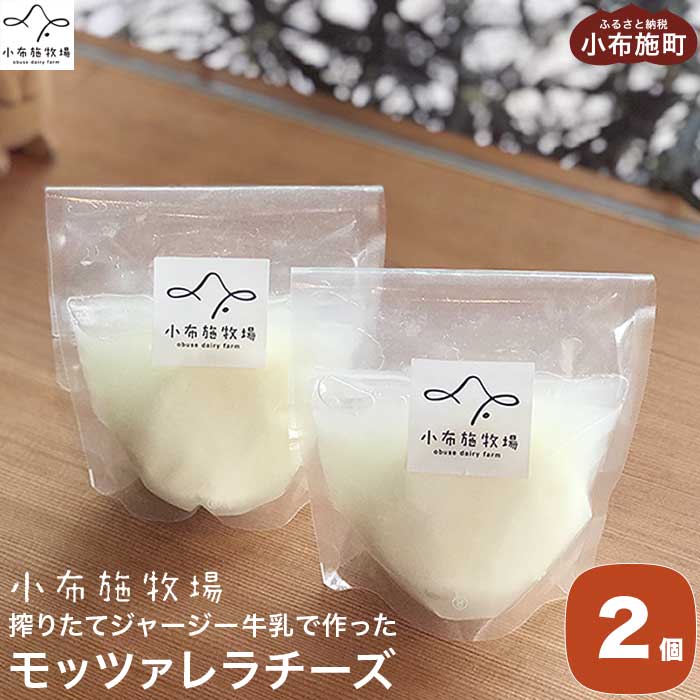 Y z{q̍肽ăW[W[ōbc@`[Y 100g × 2 mz{qn`[Y bc@ ܂ T_ ① N[ v[g  MB쌧z