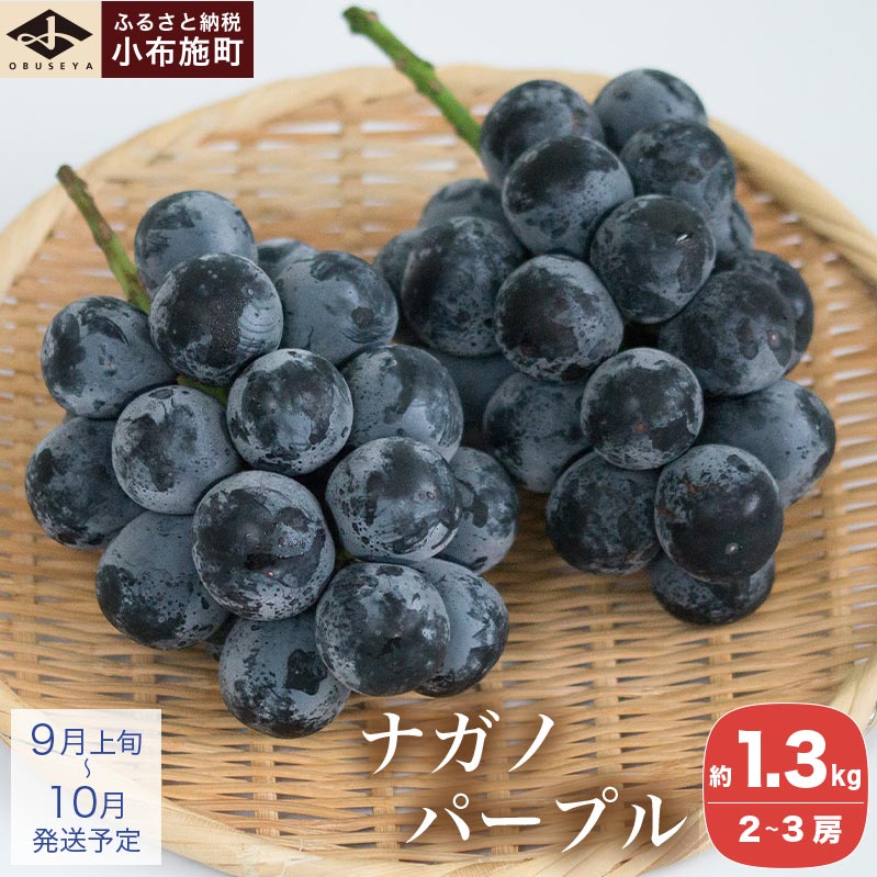 iKmp[v 1.3kg 2`3[ mz{nʕ t[c Ԃǂ  쌧Y MBY z{ fU[g ① N[ s\ ʌ ߘa7NYy2025N9{`10z쌧z
