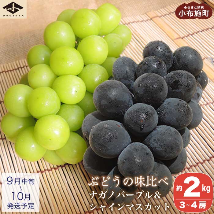 Ԃǂ׋l 2kg 3`4[ iKmp[v  VC}XJbg mz{n Hה ʕ t[c Ԃǂ  lߍ킹 Zbg l 쌧Y MBY N[ ①