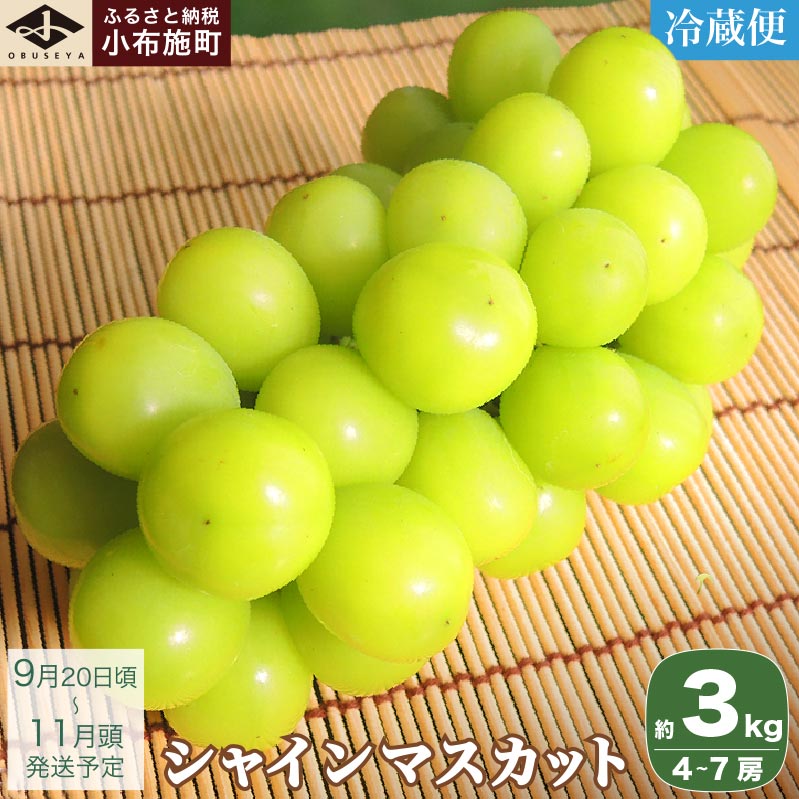 VC}XJbg 3kg 4`7[ mz{n t[c ʕ  Ԃǂ  uhE ʌ N[֔z 쌧Y Yn s\  2025 2025N ߘa7NY y2025N920`11