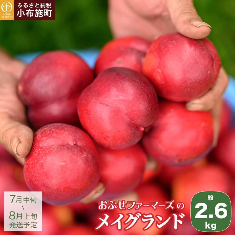 COh 2.6kg mԂt@[}[Yns\ lN^ ʕ t[c   ① N[ 쌧Y MBY  ߘa7NYy2025N7{`8{z쌧z{11000ʕ