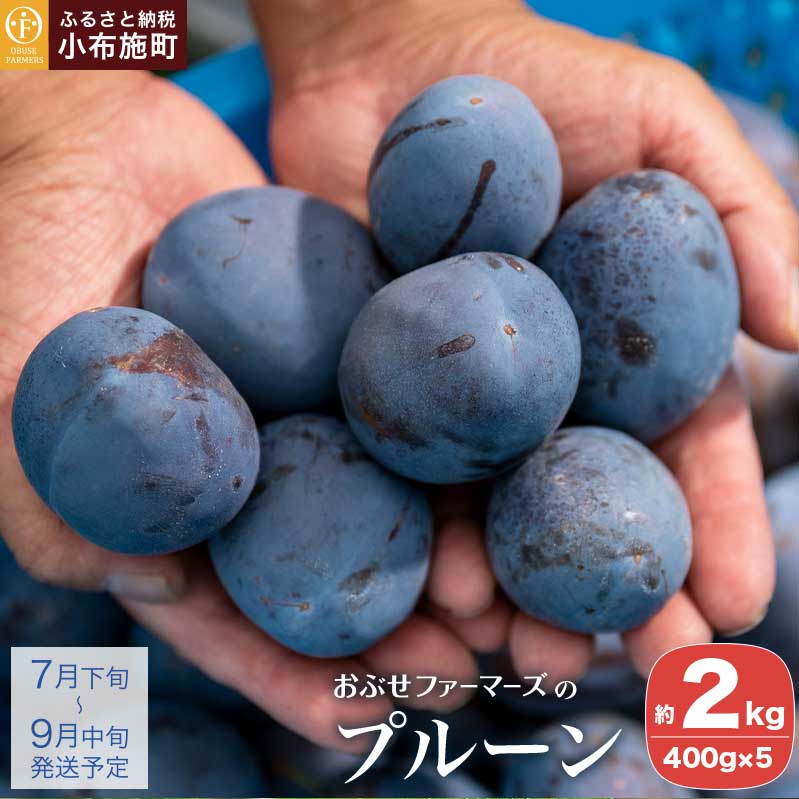 v[ 2kg mԂt@[}[Ynʕ t[c v[ Yn   N[ ① 쌧Y MBY ߘa7NY y2025N7{`9{z쌧z{9000ʕEt[c