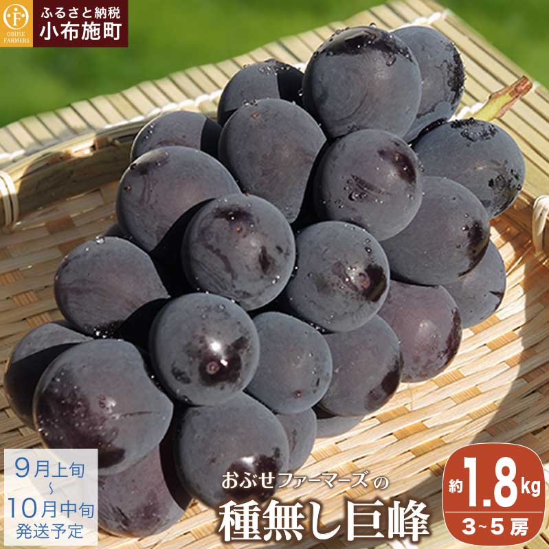 햳 1.8kg 3`5[ m Ԃt@[}[Y n ʕ t[c  Ԃǂ uhE 쌧Y MBY s\ ʌ ① N[ ߘa7NYy2025N9{`10{z