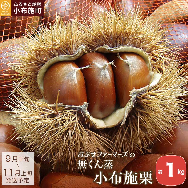 z{I 1kg mԂt@[}[Yn I  ʕ t[c s\ ʌ N[ ① 쌧Y MBY H n Yi Y {OI ߘa7NY y2025N9{