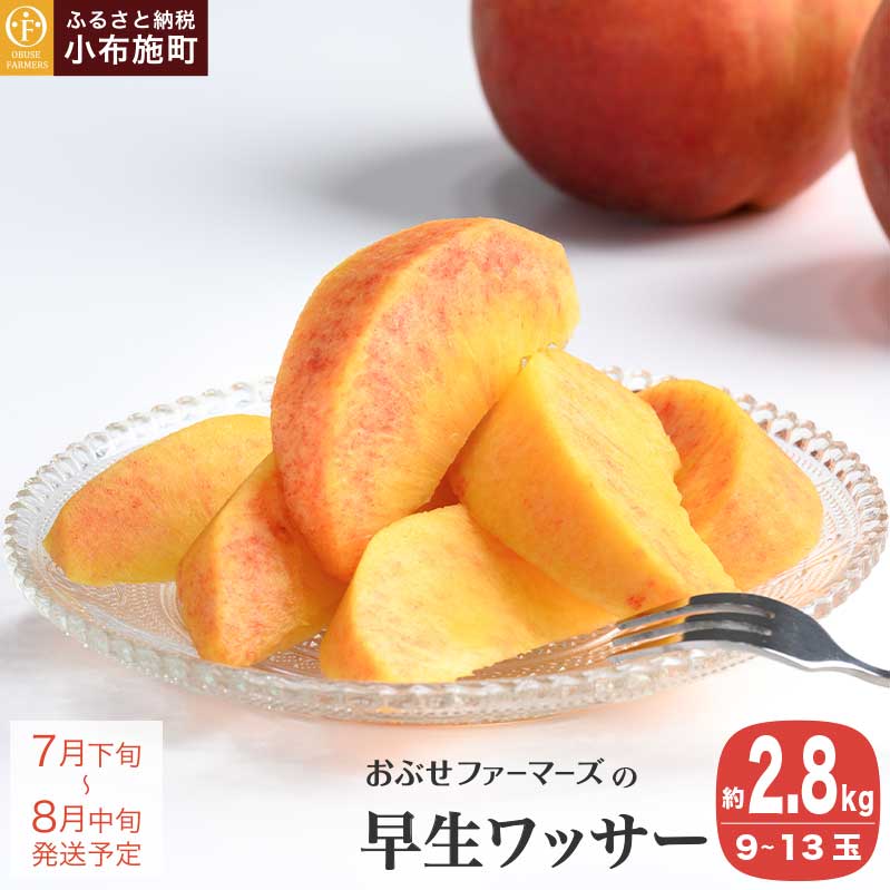 bT[ 2.8kg 9`13 mԂt@[}[Ynʕ t[c 쌧Y MBY N[ ① 쌧Y MBY  s\ ʌ Yn   Yn  ߘa7NYy2025N7