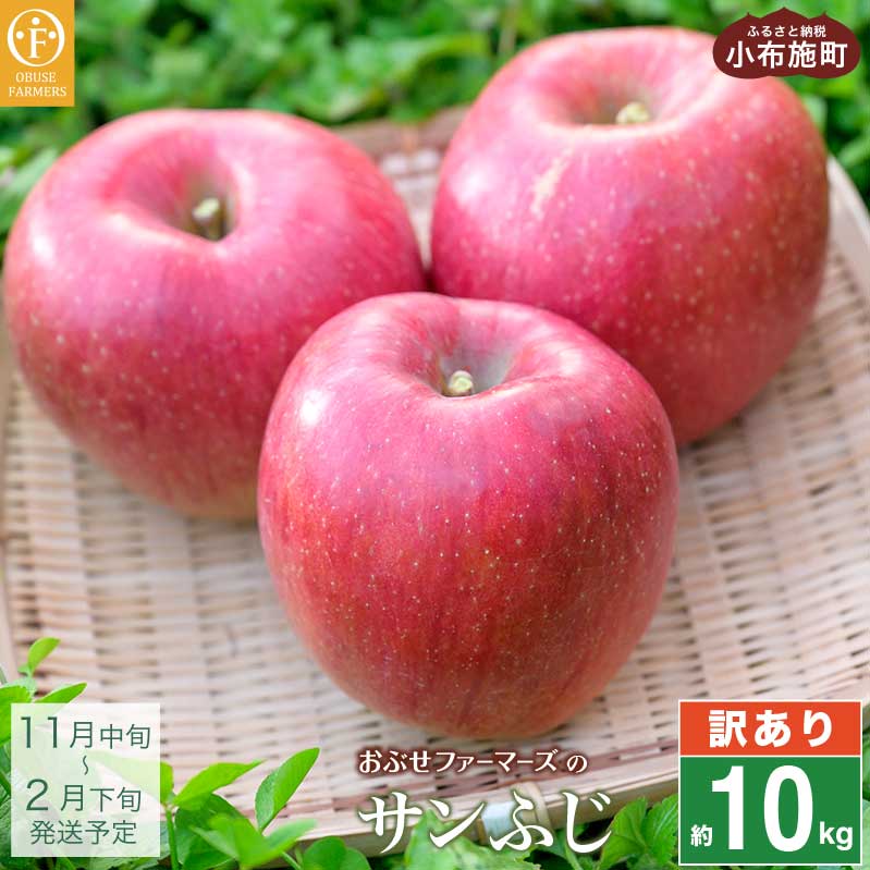y󂠂z Tӂ 10kg 26`40 mԂt@[}[Yn ʕ t[c  s KiO ƒp ь S ӂ 쌧 MB ʌ ߘa7NY y2025N11{`2026N2{