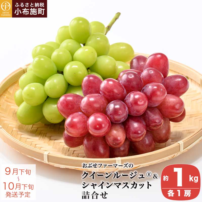 NC[[W?VC}XJbgl e1[ 1kg mԂt@[}[Yn Ԃǂ Zbg Hה Q e 1[  uhE ʕ t[cߘa7NY y2025N9{`10{