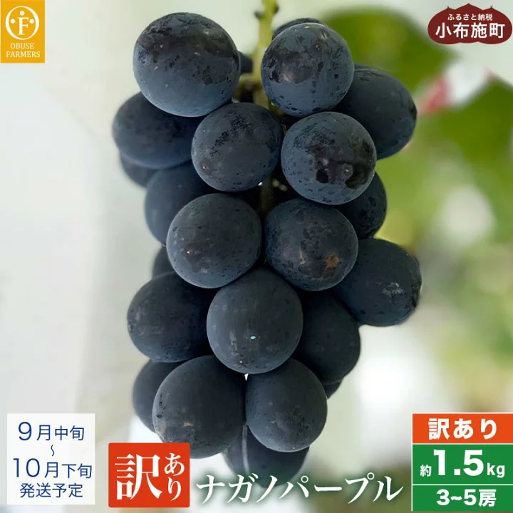 y󂠂ziKmp[v 1.5kg 3`5[ mԂt@[}[Ynƒp ʕ t[c Ԃǂ Ԍ ʌ KiO s  ߘa7NY y2025N9{`10{z쌧z{