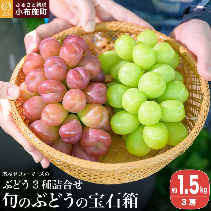 Ԃǂ3lߍ킹 {̂Ԃǂ̕Δ 1.5kg 3[  [Ԃt@[}[Y] ʕ t[c Ԃǂ  쌧Y MBY N[ ① Hה  ʌ ߘa7NYy2025N9{`1