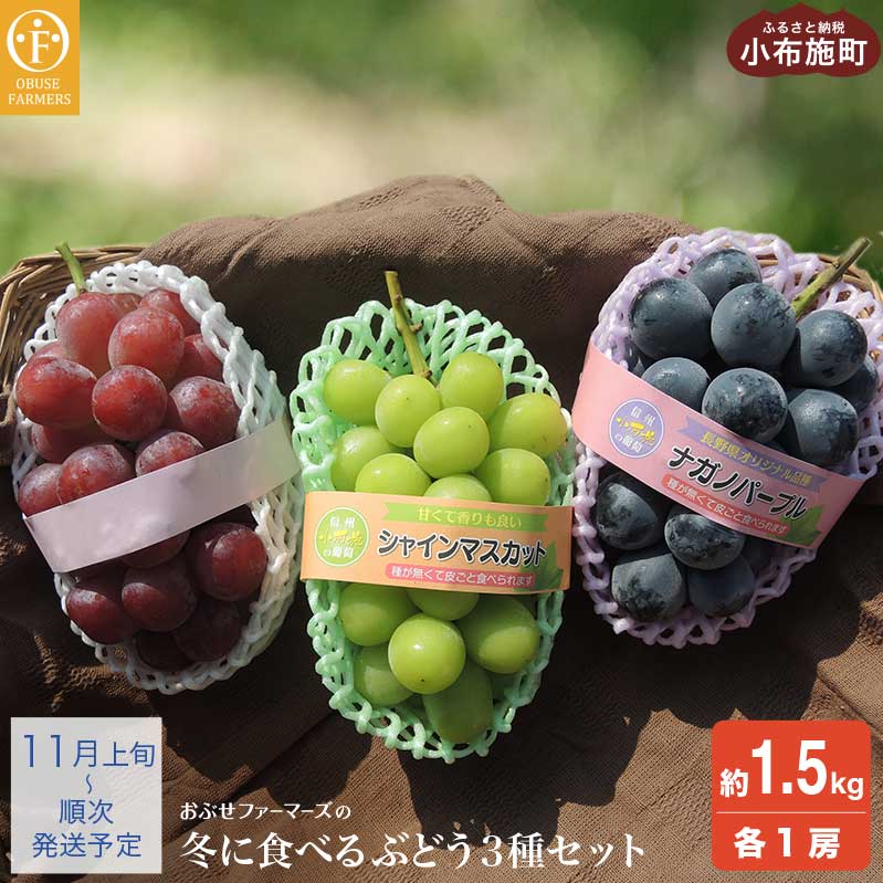 ~ɐHׂVC}XJbgiKmp[vԌnԂǂ1[ 1.5kg m Ԃt@[}[Y n Ԃǂ ʕ t[c m2025N11{`oׁn쌧z{25000ʕEt[