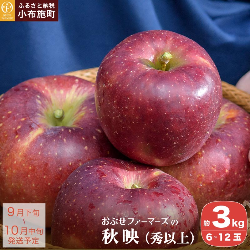 Hf Gȏ 3kg 6`12 mԂt@[}[Yn  ь S ʕ t[c 쌧Y MBY s\ ʌ ߘa7NY y2025N9{`10{z쌧z{9000ʕE