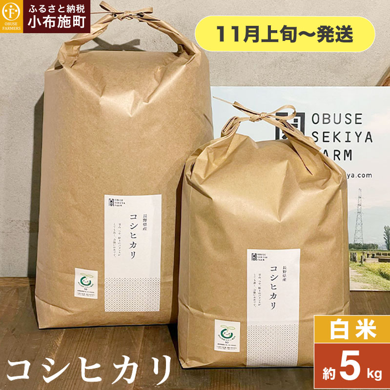 RVqJ   5kg m Ԃt@[}[Y n  R    쌧Yy2025N11{`z쌧z{14000āEp