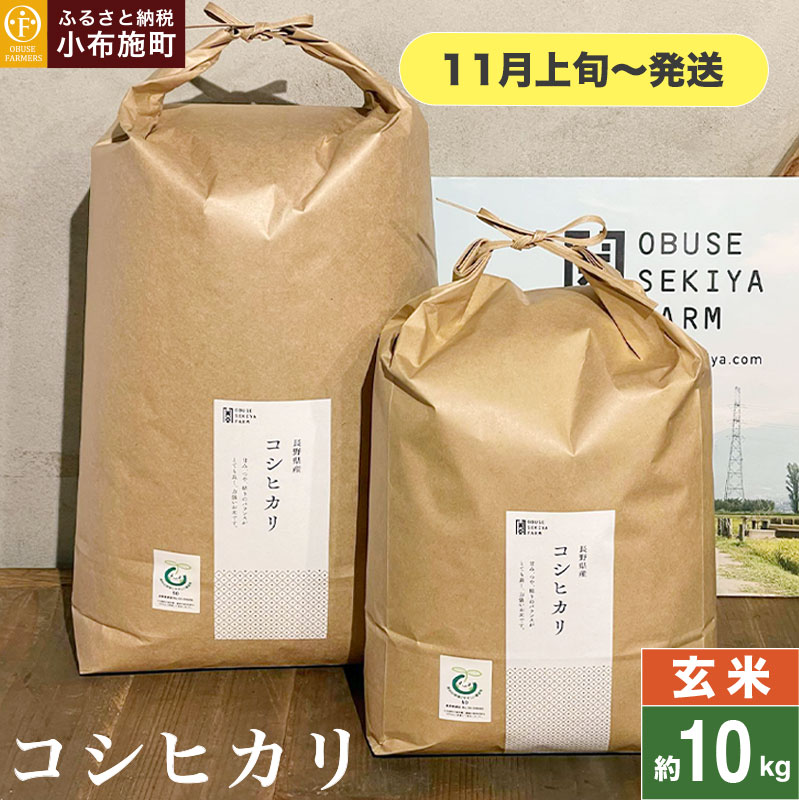 RVqJ   10kg m Ԃt@[}[Y n  R    쌧Yy2025N11{`z쌧z{28000āEpāEGāEāE