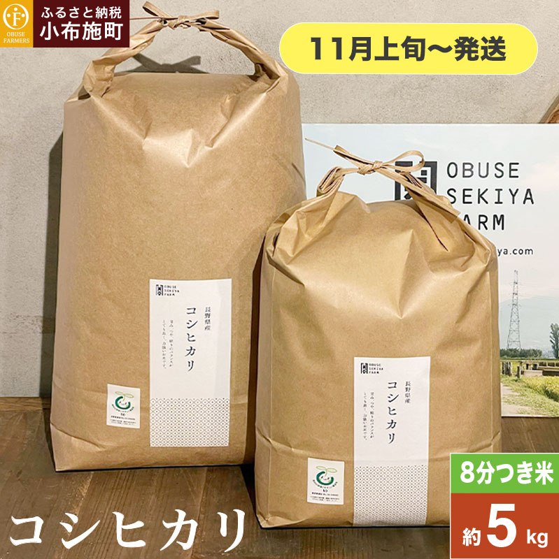 RVqJ 8  5kg m Ԃt@[}[Y n  R    쌧Yy2025N11{`z쌧z{14000āEpāEGāEāE