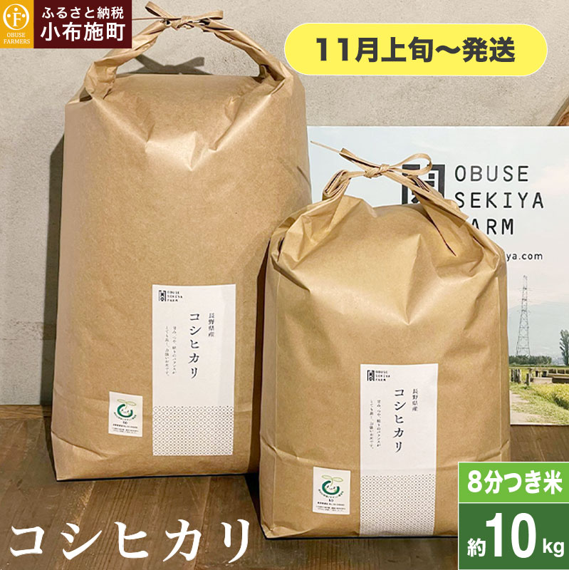 RVqJ 8  10kg m Ԃt@[}[Y n  R    쌧Yy2025N11{`z쌧z{28000āEpāEGāEāE