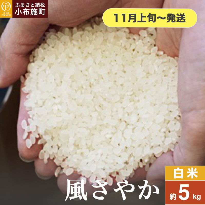 ₩   5kg m Ԃt@[}[Y n  R    쌧Yy2025N11{`z쌧z{14000āEp