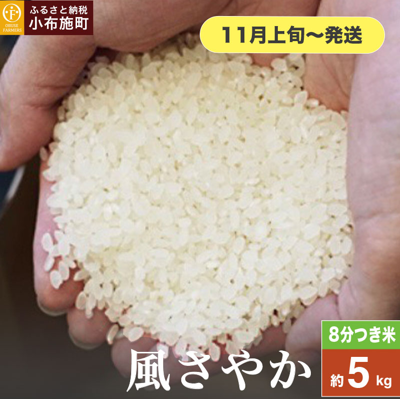 ₩ 8 5kg m Ԃt@[}[Y n  R    쌧Yy2025N11{`z쌧z{14000āEpāEGāEāE