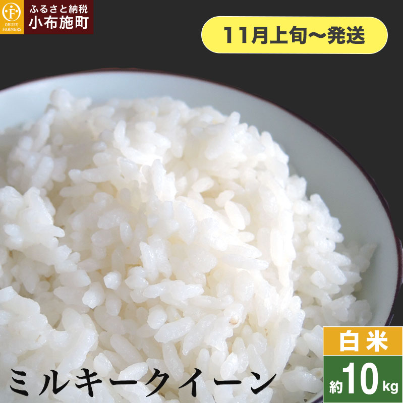 ~L[NC[  10kg m Ԃt@[}[Y n  R    쌧Yy2025N11{`z쌧z{28000āEp