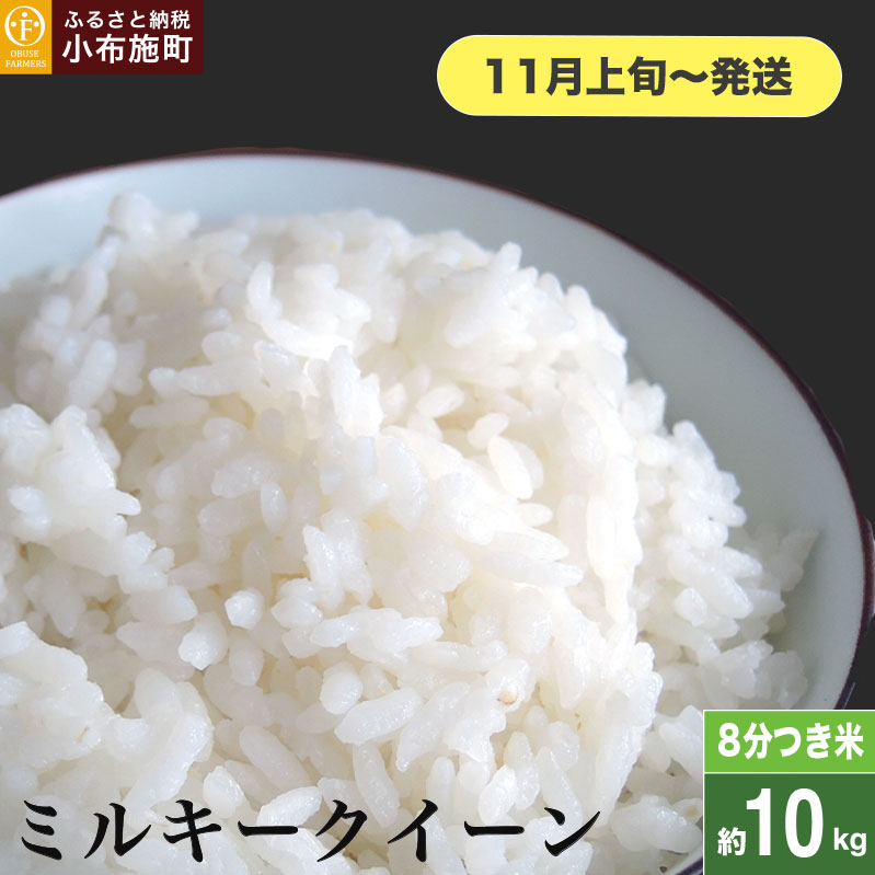 ~L[NC[ 8 10kg m Ԃt@[}[Y n  R    쌧Y y2025N11{`z쌧z{28000āEpāEGāEāE