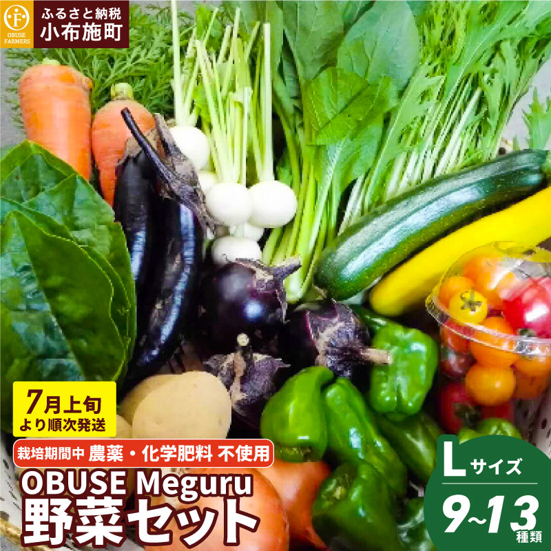 m͔|Ԓ_Ew엿sgpnOBUSE Meguru ؃Zbg L 9`13 mԂt@[}[Yn lߍ킹  ܂ ₳ l y 쌧Y MB ߘa7NY y2025N7{