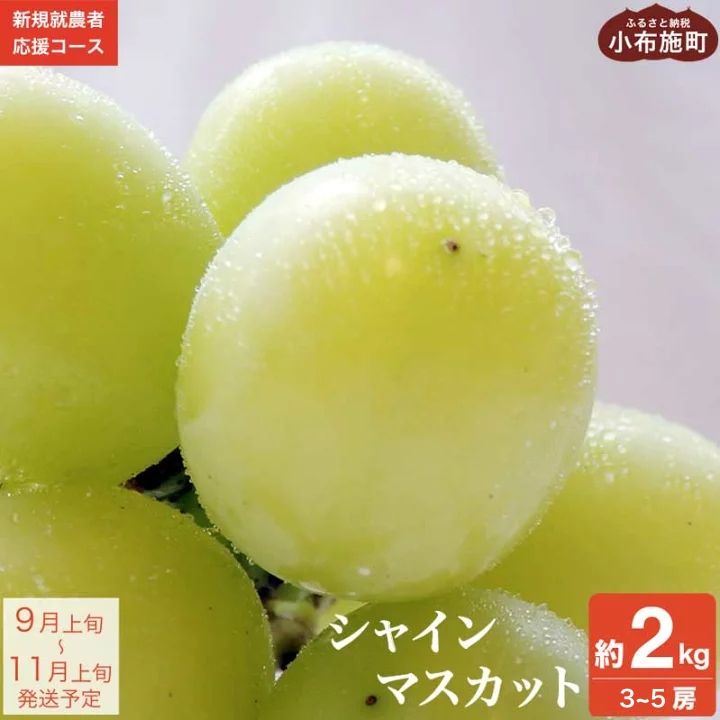 VC}XJbg 2kg 3`5[ mVKA_҉R[X Kn Ԃǂ  uhE Y҉ ʕ t[c s\ ʌ ߘa7NY y2025N9{`11{z쌧z{