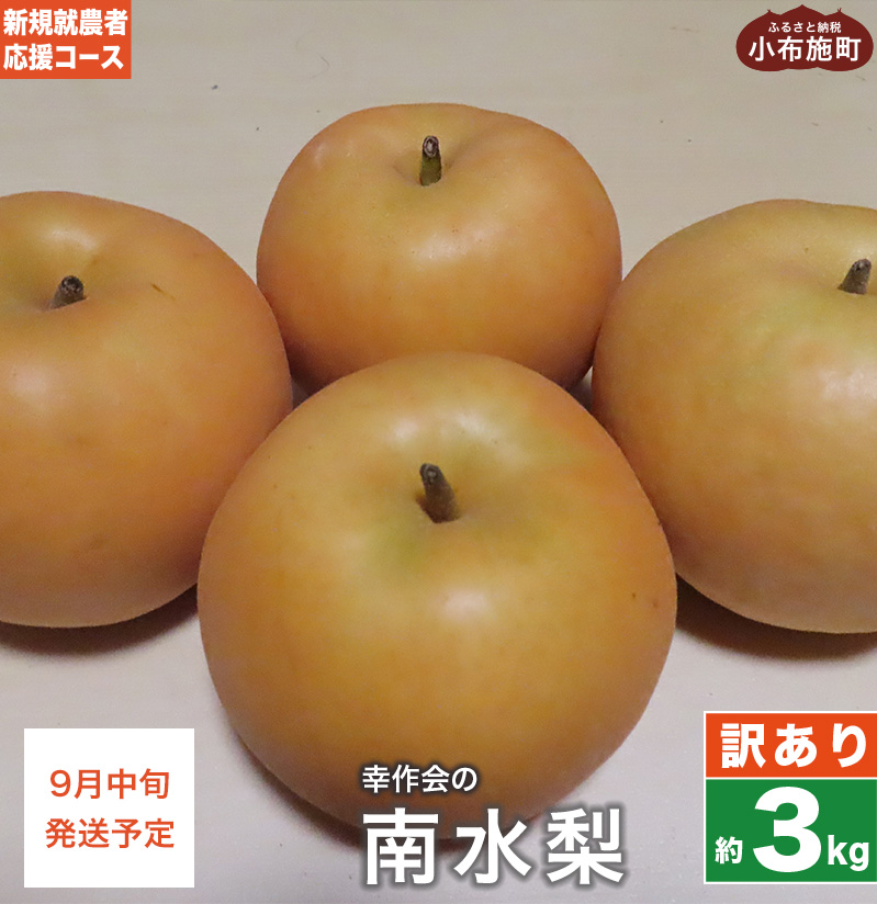 y󂠂z 쐅 3kg mVKA_҉R[X Kn  Ȃ t[c ʕ  PA  LY s 쌧Y MBY ʌ ߘa7NY y2025N9{z쌧z{12000