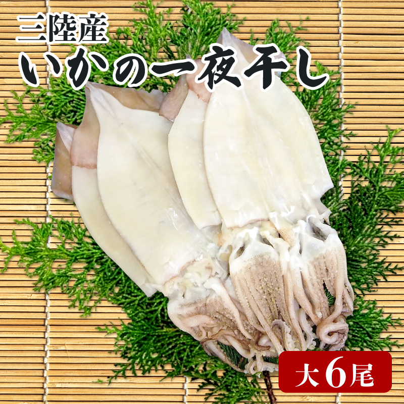いかの一夜干し 大 6尾 イカ 烏賊 魚介類 三陸 冷凍 つまみ 釣り 丸干し 干物 おつまみ 父の日岩手県大船渡市15000魚介・海産物イカ・タコ・ウニ