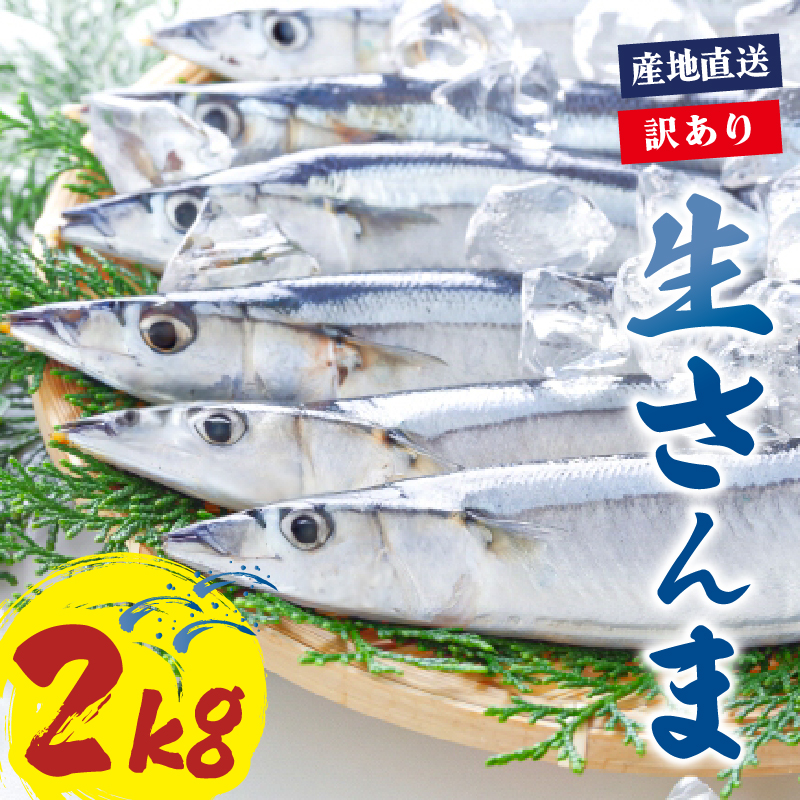 y2025Ns\z 󂠂 N 2kg ①茧Dns10000ECYN
