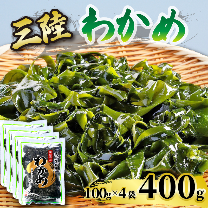 わかめ 400g ( 100g×4袋 )湯通し塩蔵わかめ 海鮮 海藻 魚貝類 魚介類 小分け みそ汁 スープ 酢の物 三陸産 岩手県 大船渡市岩手県大船渡市5000魚介・海産物その他 魚介・海産物