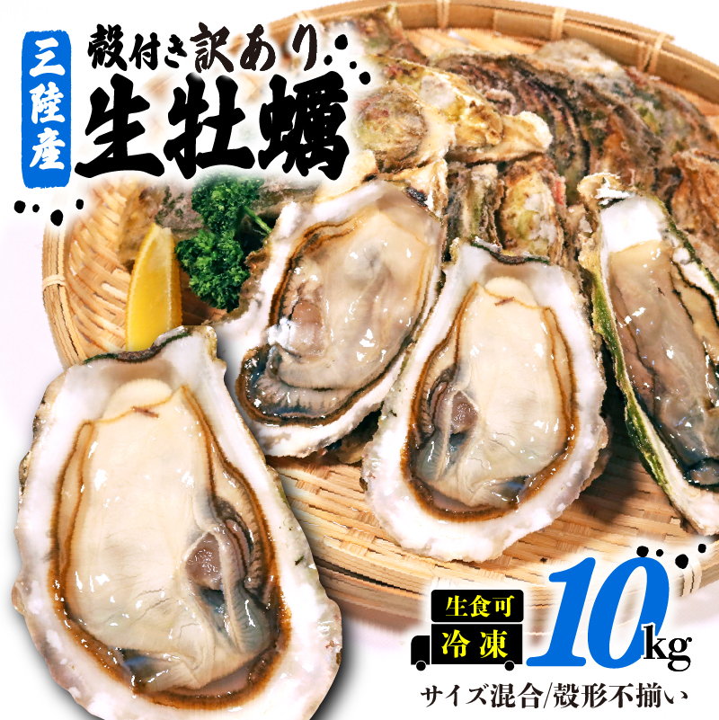 󂠂 ʌ Yi H kt y 10kg  JL Ⓚ 茧Y kty茧Dns20000ECYL