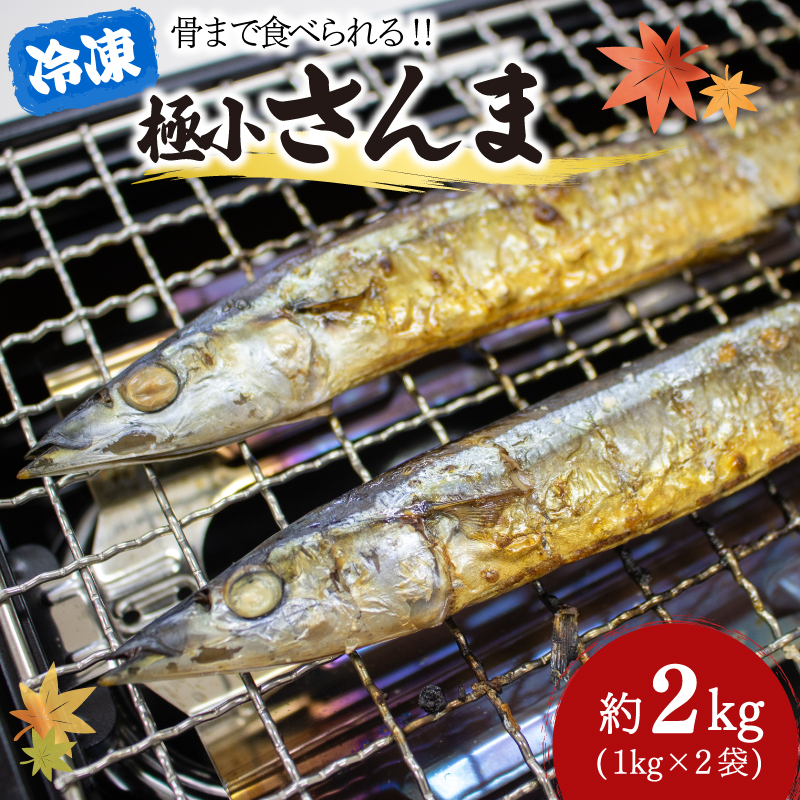 極小 さんま 2kg 1kg×2袋 秋刀魚 旬 海鮮 魚貝類 魚介類 冷凍 焼き魚 三陸産 岩手県 大船渡市岩手県大船渡市10000魚介・海産物その他 魚介・海産物