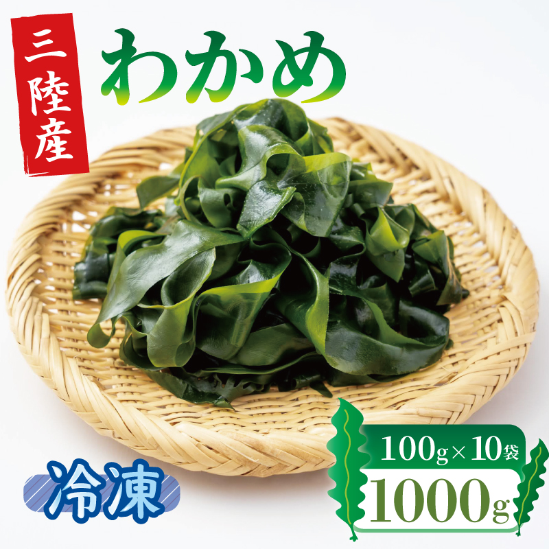 O킩 킩 1kg (100×10pbN) Ⓚ Y茧Dns10000ECY̑ ECY