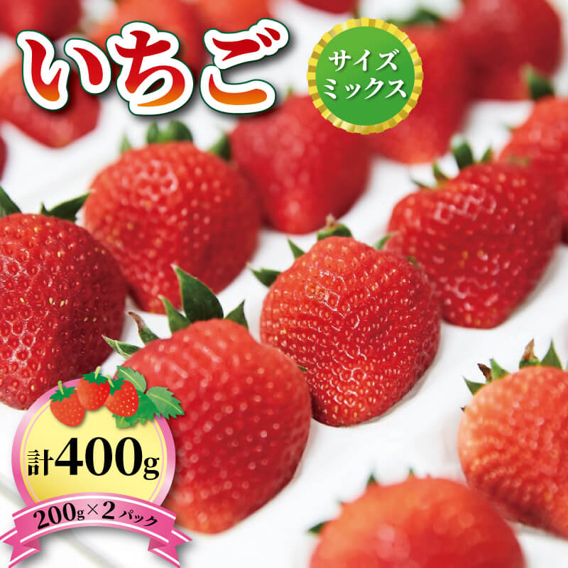 いちご 1種 400g (200g×2) 【1〜5月お届け】 品種おまかせ フルーツ 果物 苺 イチゴ なつあかり 信大BS8-9 夏のしずく 夏の輝 すずあかね リアスター 夏苺 夏いちご 予約販売  三陸産 大船渡 国産