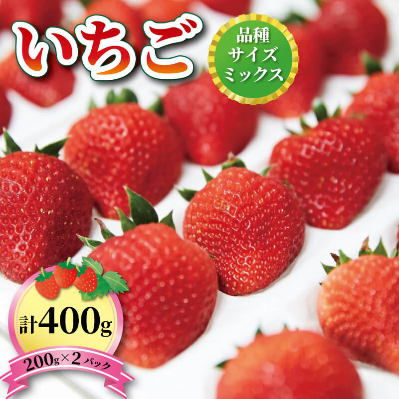  2 400g (200g×2) 1~5͂  ʕ  t[c  Xgx[ strawberry 茧 Dns茧Dns8000ʕEt[c