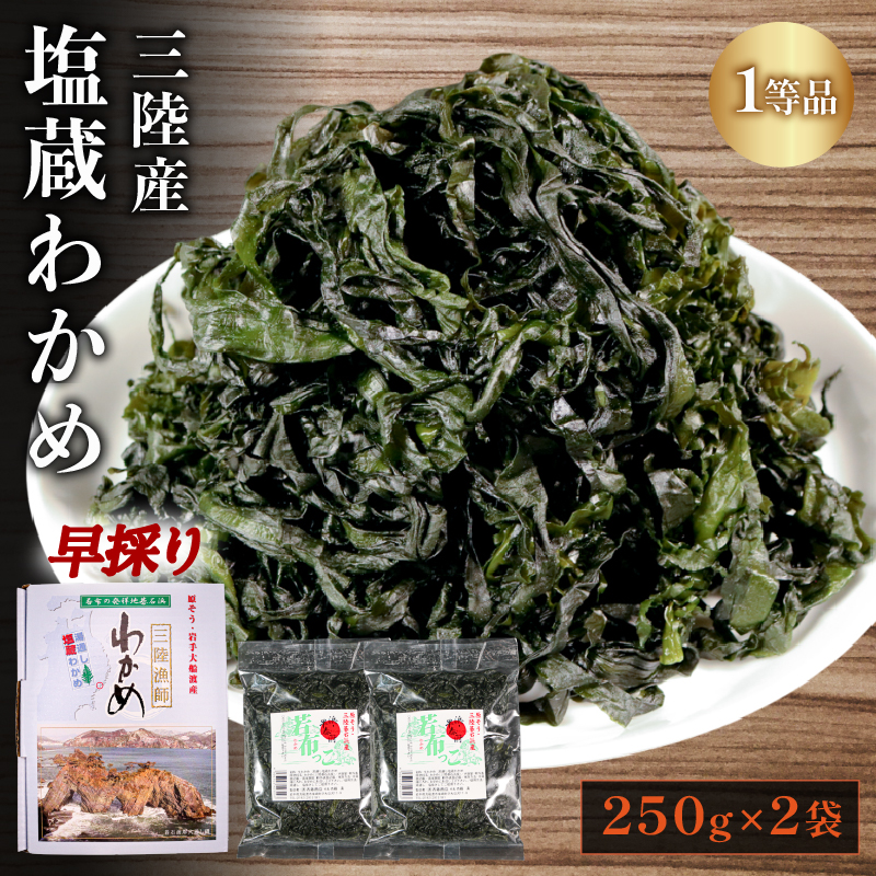 早採り 塩蔵わかめ 若芽っこ 250g×2袋 (計500g)岩手県大船渡市5000魚介・海産物のり・海藻
