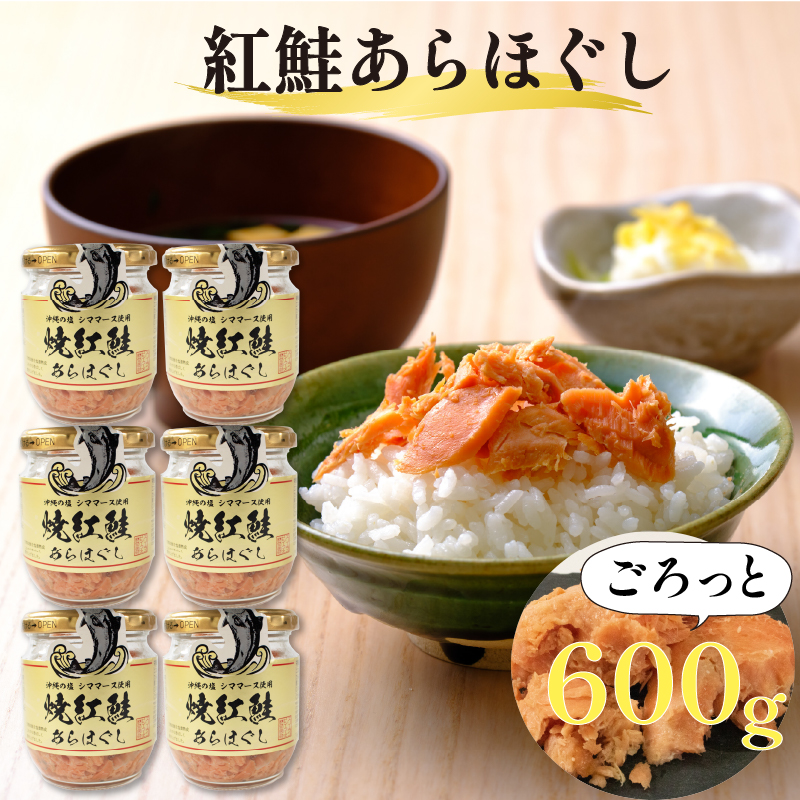čgق 600g (100g×6r )茧Dns14000ECY̑ ECY
