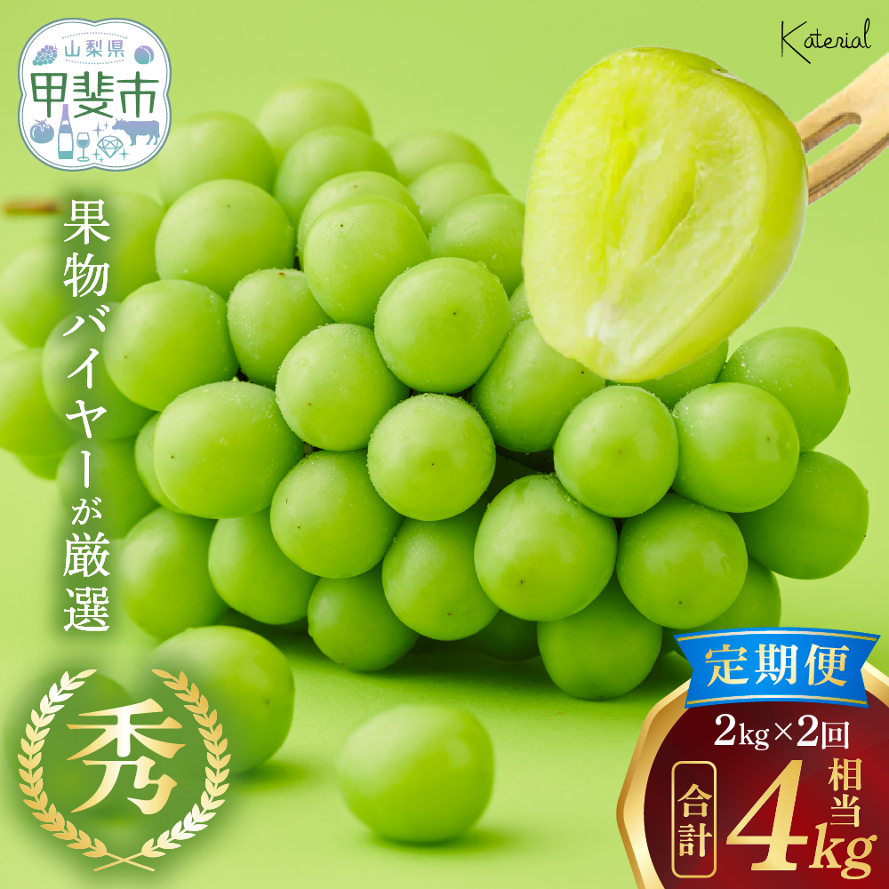 yNi2026N/ߘa8Njs\񁄁z VC}XJbg 2.0kg×2Zbg@ [R VC}XJbg ]@lC@߁@Y@@Mtg@񂹁@R