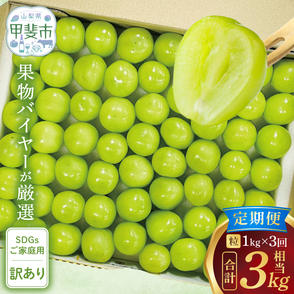 【来年(2026年/令和8年)発送<先行予約>】山梨県産 粒シャインマスカット定期便約1.0kg×3回 【訳アリ】【ご家庭用】AD-278山梨県甲斐市31000果物・フルーツ