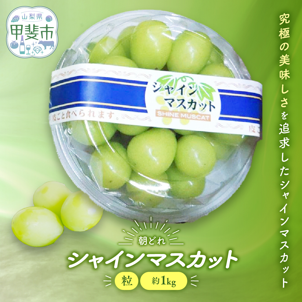 【来年(2026年/令和8年)発送<先行予約>】ご家庭用 訳あり シャインマスカット 粒 1kg 減農薬 先行予約 先行 予約 山梨県産 国産 産地直送 人気 おすすめ 贈答 ギフト お取り寄せ フルーツ