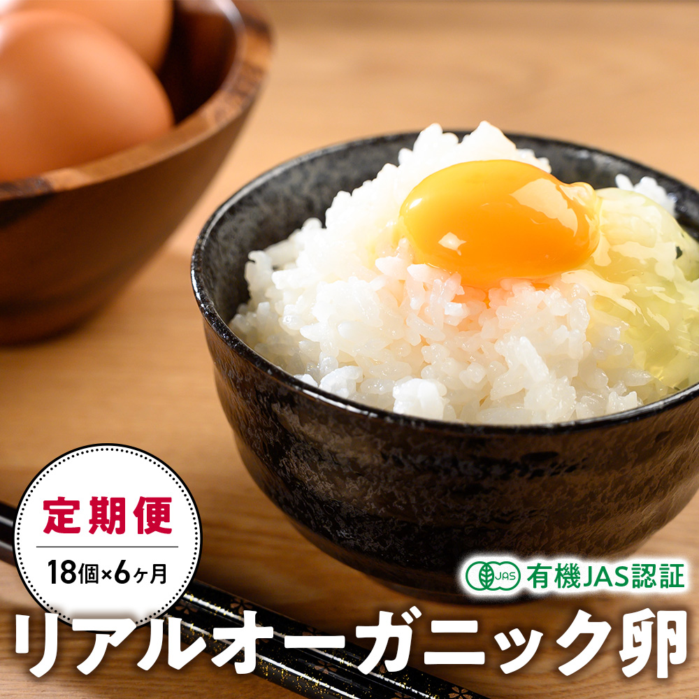 AI[KjbN18×6 [R I[KjbN  ]@@܂@^}S@ʎq@{@R@q@@VN@܂юRbs55000Eii{A