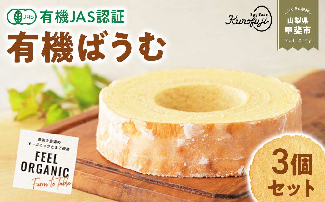 u{̗L@F؃oEN[wvxm_̗L@΂ނRZbg [R I[KjbN lC] lC@߁@Y @Mtg@ XC[c@َq@oEN[w@