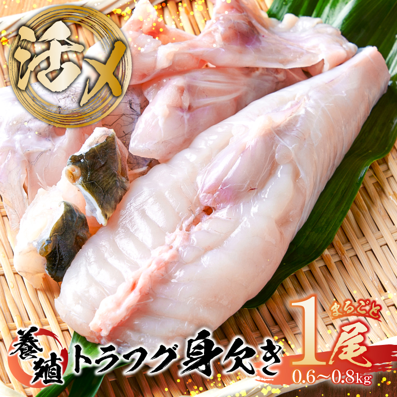 養殖トラフグ身欠き【kt058-001】東京都江東区29000魚介・海産物鮮魚