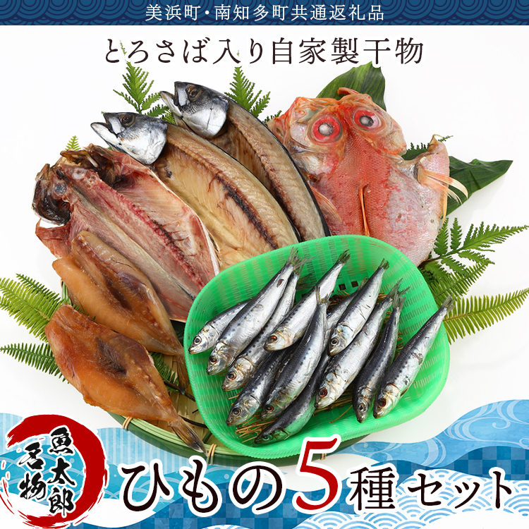 【美浜町・南知多町共通返礼品】年間100万枚販売!魚太郎名物【とろさば】入り・自家製ひもの5種セット★鮮度にこだわる魚屋が丁寧に手作業で作りました! ※北海道・沖縄・離島への配