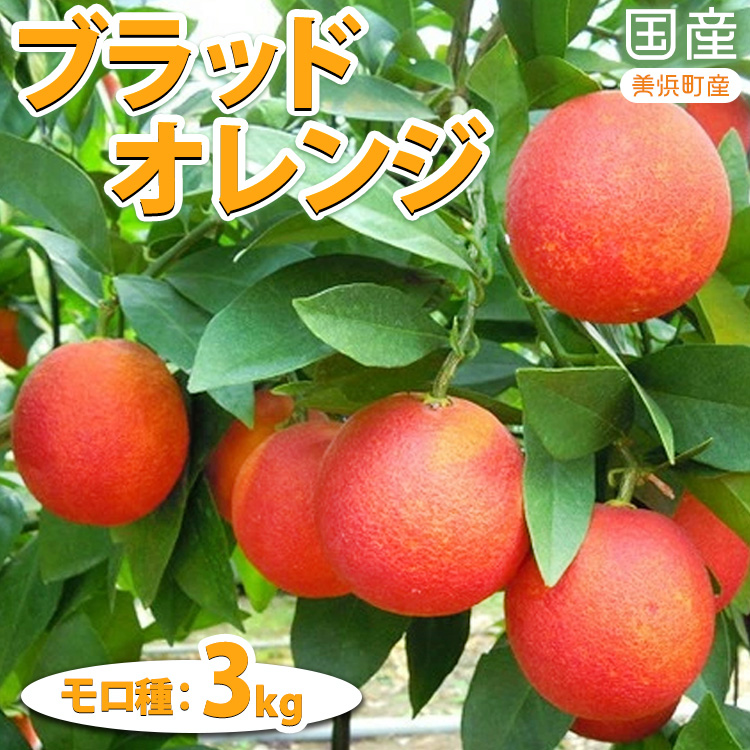 No.071 YilYjubhIW@w펩p 3kgx | k hܕsgp m Yi 2026N2{`3{܂łɏ\舤ml15000ʕEt[c