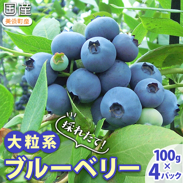 ̂ꂽāI嗱nu[x[@100g×4pbN 2026N5{`7{ɏ\舤ml10000ʕEt[c̑ ʕEt[c