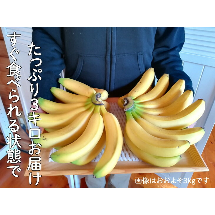 󏭁IYnoiiib`n̕ijՂ3kg HׂԂł͂Iml11000ʕEt[c̑ ʕEt[c