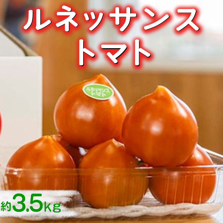 ルネッサンストマト 約3.5kg ※2026年1月上旬〜5月下旬頃に順次発送予定/とまと ハート型 新鮮 愛知県 特産品◆愛知県美浜町12000野菜・きのこトマト