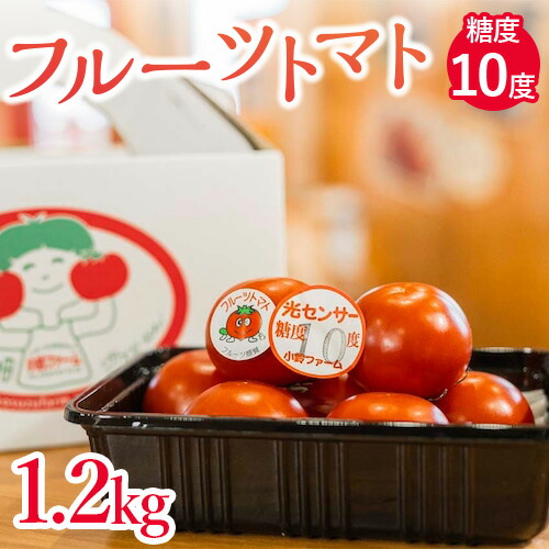 フルーツトマト糖度10度 1.2kg ※2026年1月上旬〜4月下旬頃に順次発送予定◆愛知県美浜町12000野菜・きのこトマト