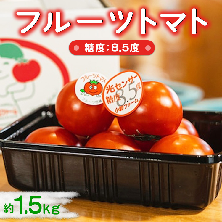 フルーツトマト糖度8.5度 約1.5kg ※2026年1月上旬〜4月下旬頃に順次発送予定◆愛知県美浜町12000野菜・きのこトマト